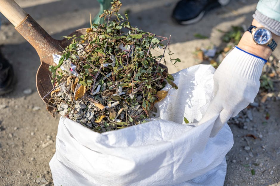 A close-up view of a person wearing a white work glove and a silver wristwatch, using a rusted shovel to lift a large white sack filled with garden debris, including small leafy branches, twigs, and dried plant material. The sack lies on a gravel surface outdoors, with the scene illuminated by natural daylight. The background shows a pavement area with some scattered leaves and small trash pieces, indicating a garden or outdoor space undergoing clearance. The presence of the shovel and the bag, typical tools for waste removal, suggests an activity related to garden rubbish collection or on-site clearance, potentially an alternative to municipal garden waste pickup, coordinated by a waste management service such as Rubbish Clearance Hampstead. The detailed visual focus highlights the materials and textures involved in garden rubbish disposal, emphasizing the practical aspects of private waste handling environments.