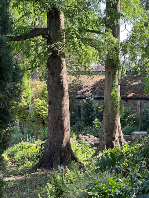 A natural garden scene featuring two prominent mature trees with thick, textured bark and leafy green canopies, positioned in the foreground. The trees are surrounded by lush, well-maintained low-lying plants and shrubs, with some flowering plants visible near their bases. The background shows a building with a pitched roof and brick walls, partially obscured by the foliage, indicating an outdoor setting. The scene is illuminated by natural daylight, creating a bright and inviting atmosphere. The overall environment appears calm and verdant, reflecting a maintained garden space that could benefit from on-site waste clearance or private rubbish removal services, such as those provided by Rubbish Clearance Hampstead. The detailed observation of plant textures and the natural setting reinforces a focus on environmentally mindful waste handling and removal within landscaped outdoor areas.
